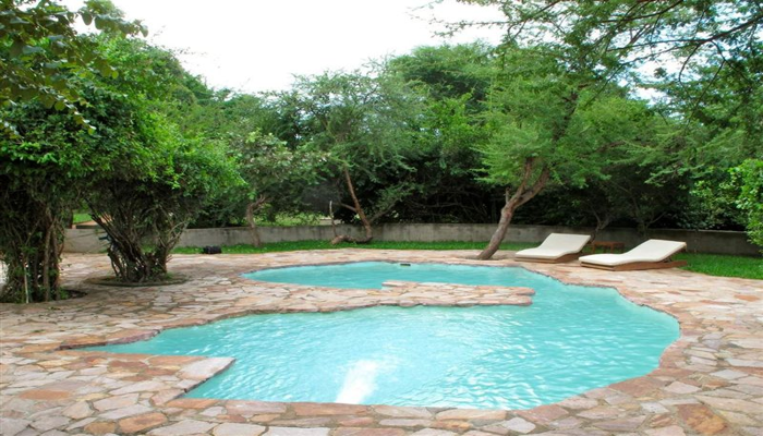 zambia shaped pool